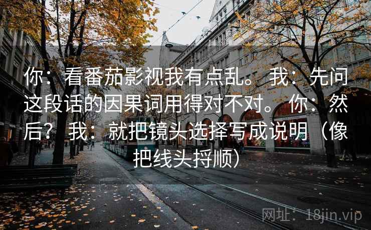 你：看番茄影视我有点乱。 我：先问这段话的因果词用得对不对。 你：然后？ 我：就把镜头选择写成说明（像把线头捋顺）